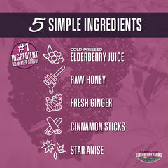Close-up of the ingredients: elderberry juice, raw honey, ginger juice, cinnamon, star anise