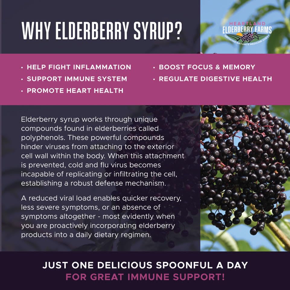 Elderberries grown in the Midwest used for Heartland Syrup