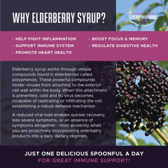 Elderberries grown in the Midwest used for Heartland Syrup