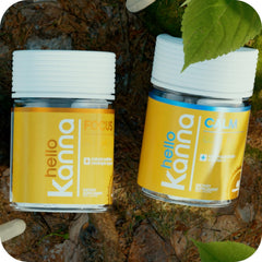 Ashwagandha ingredient illustration for Hello Calm