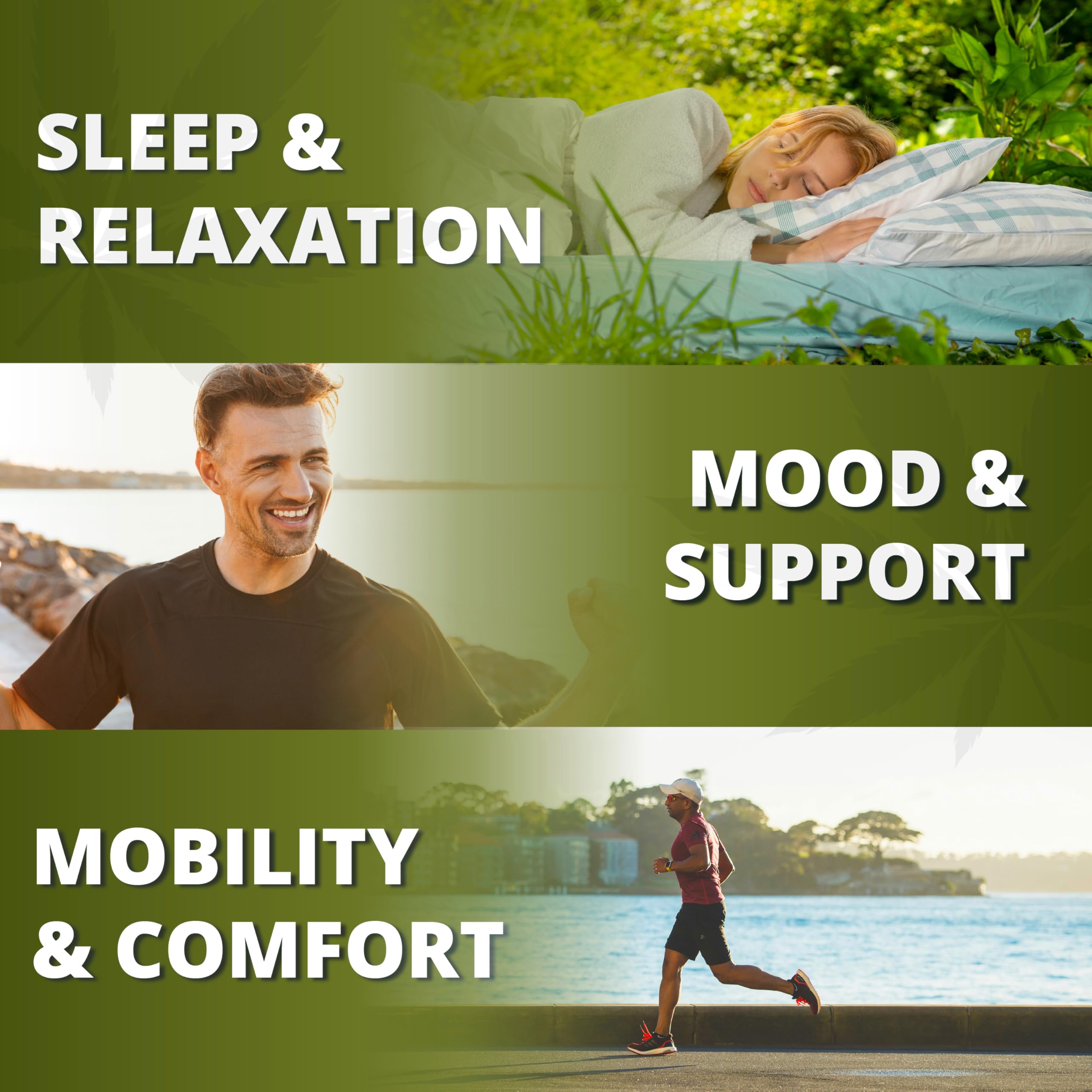 Gummies bearing omega-3 fatty acids, GABA, and L-Theanine