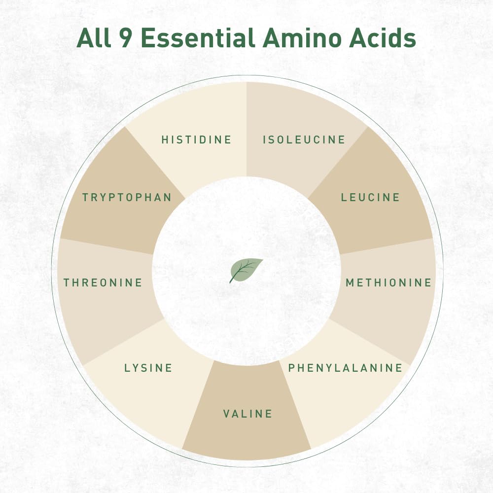 Hemplete Hemp Vegan Protein Powder bag closeup: clean label and 17g protein per serving.