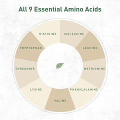 Hemplete Hemp Vegan Protein Powder bag closeup: clean label and 17g protein per serving.