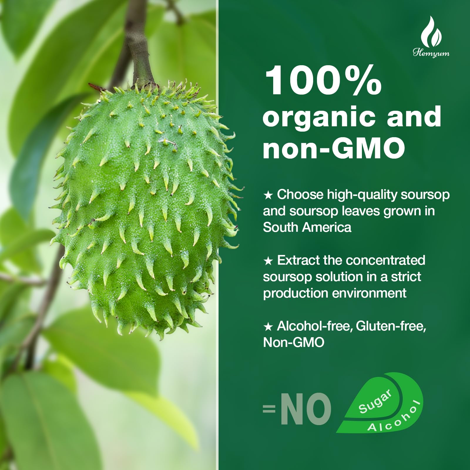 Organic sea moss ingredient pictured with Soursop liquid product