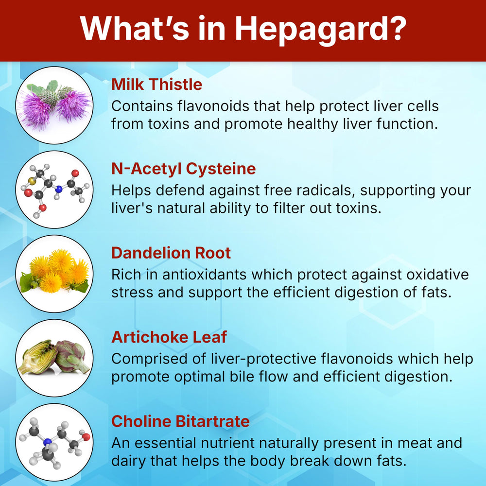 Hepagard dandelion root display suggests cleansing nutrients for wellness.