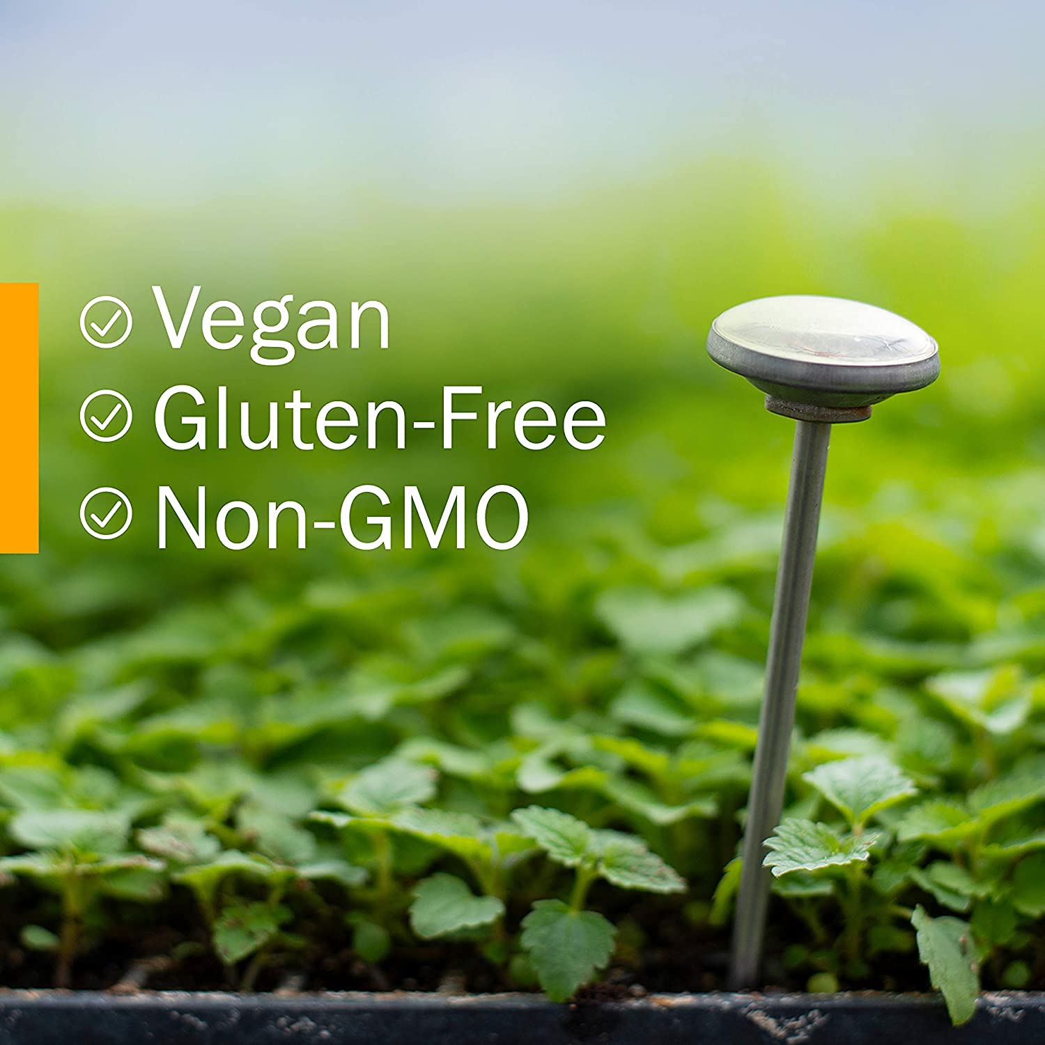 Product label emphasizing organic and gluten-free features