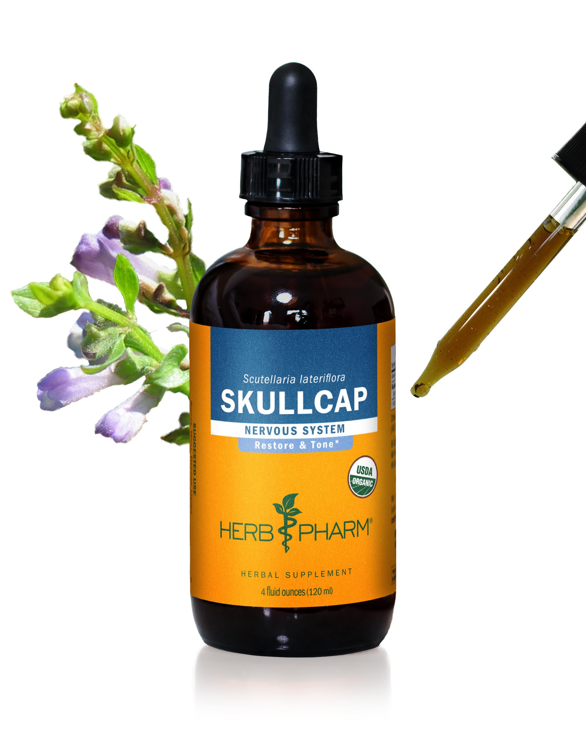 Herb Pharm Skullcap bottle ready for daily nervous system support with easy dosing.