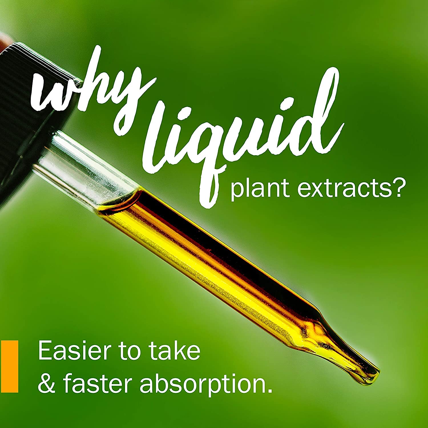 Herb Pharm Usnea liquid extract dropper enables precise dosing for detox routines.