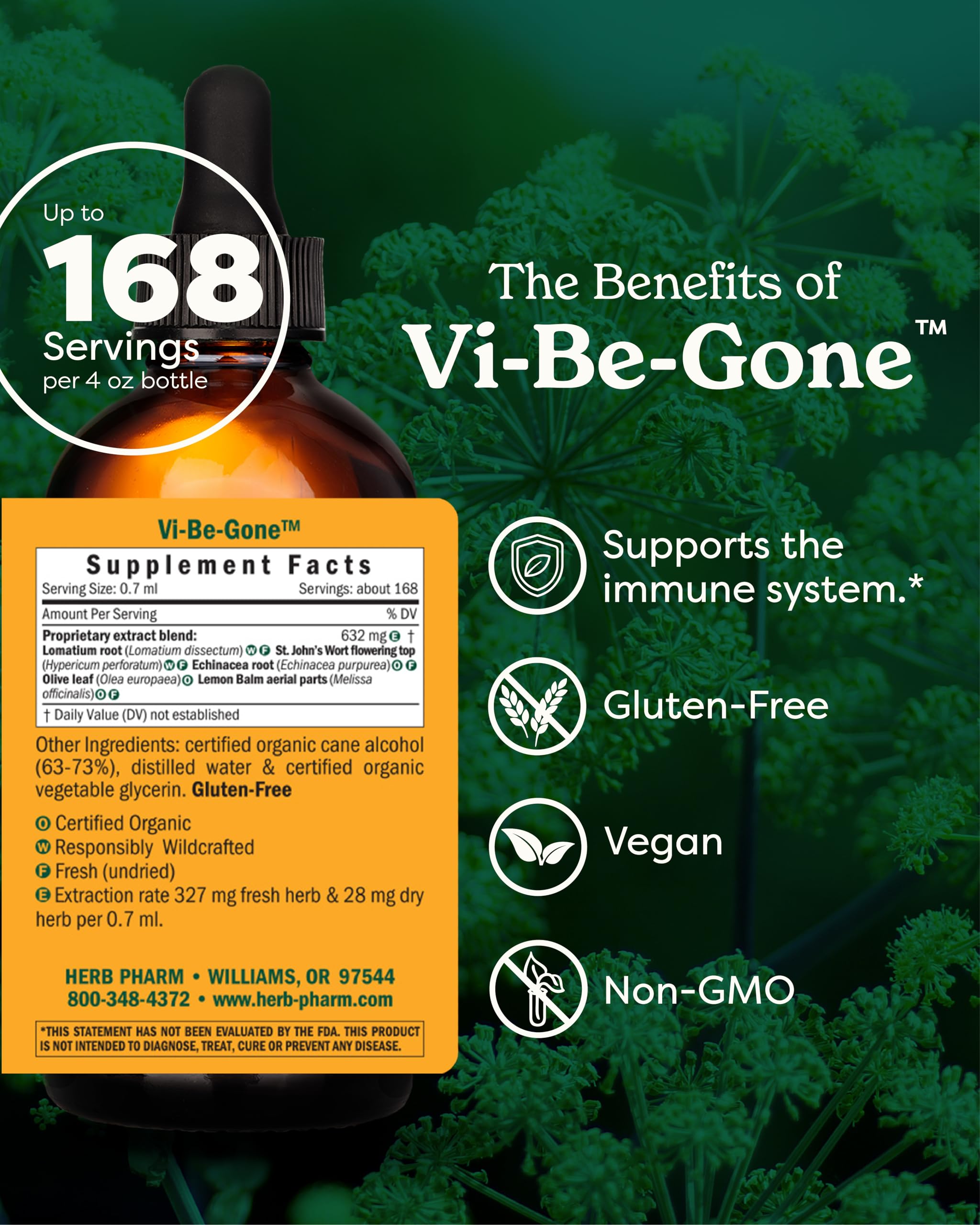 Close-up of Echinacea in Virattack formula