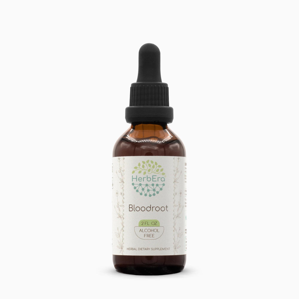 Hero image: HerbEra Bloodroot Tincture B60 in a 2 oz bottle