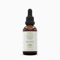 Hero image: HerbEra Bloodroot Tincture B60 in a 2 oz bottle