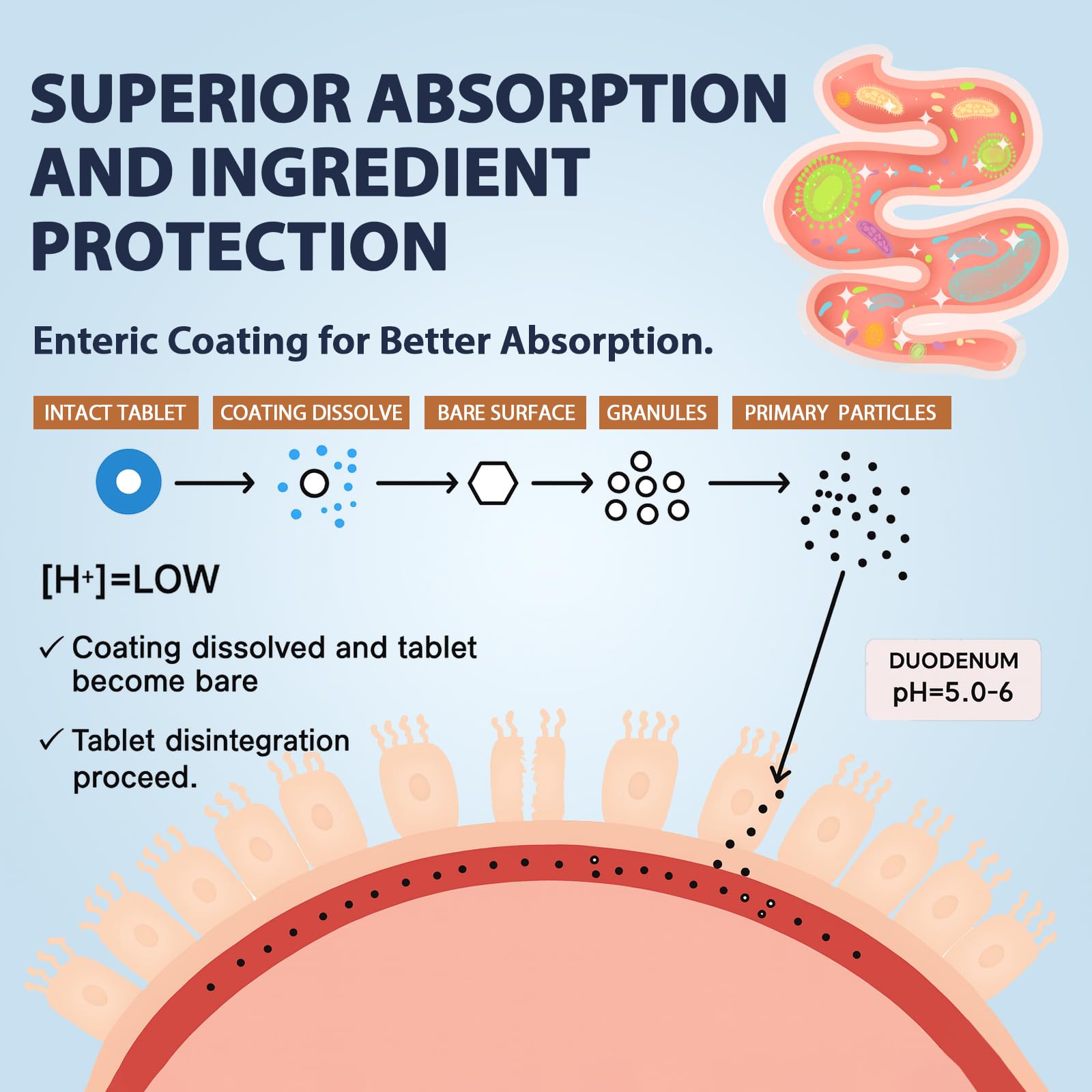 Herbal antioxidant blend featuring NAC, black seed, dandelion, turmeric and quercetin