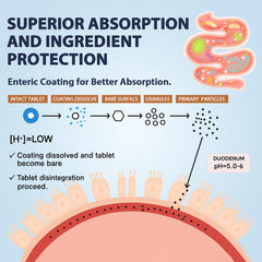 Herbal antioxidant blend featuring NAC, black seed, dandelion, turmeric and quercetin