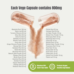Close-up of the 800 mg high-potency herbal blend capsule