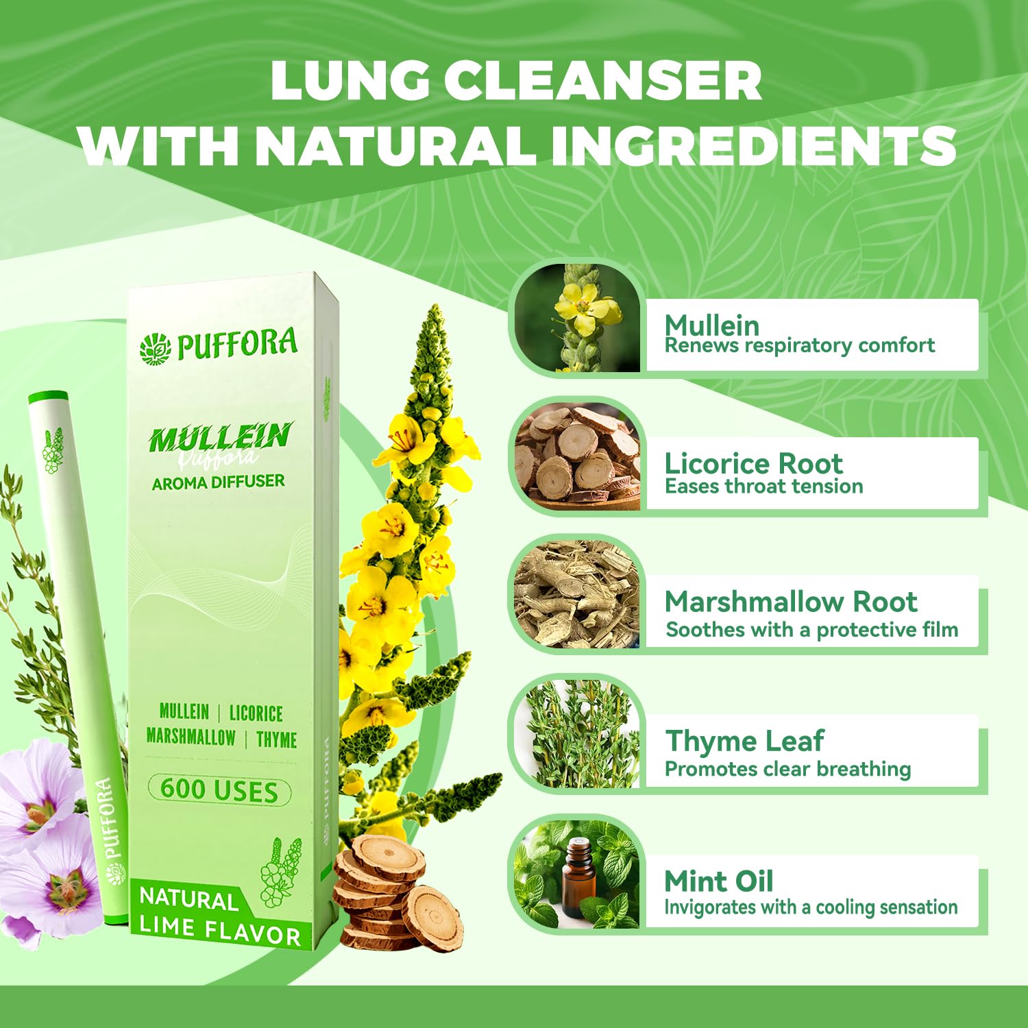Close-up of Mullein, Licorice Root, Marshmallow Root and Mint Oil