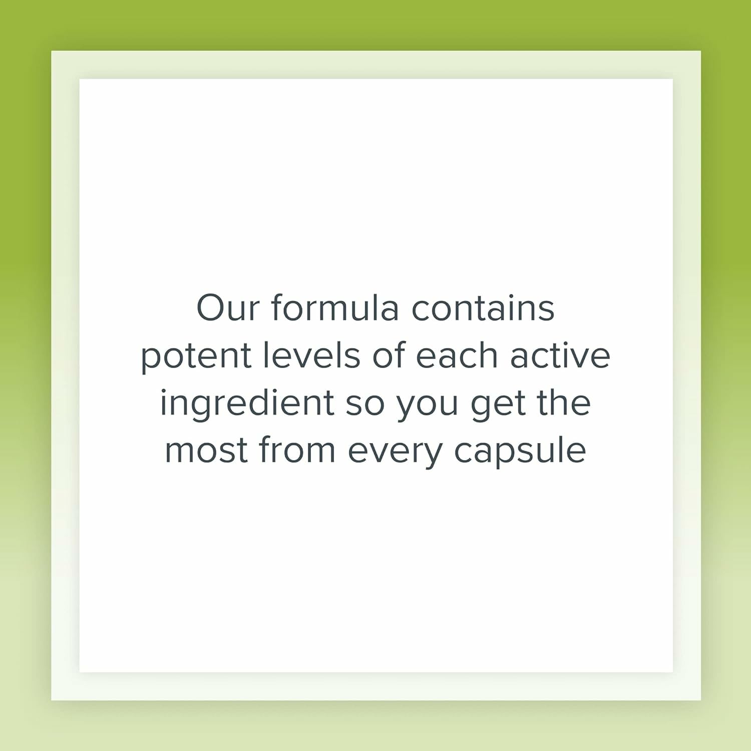 Herbal ingredients close-up