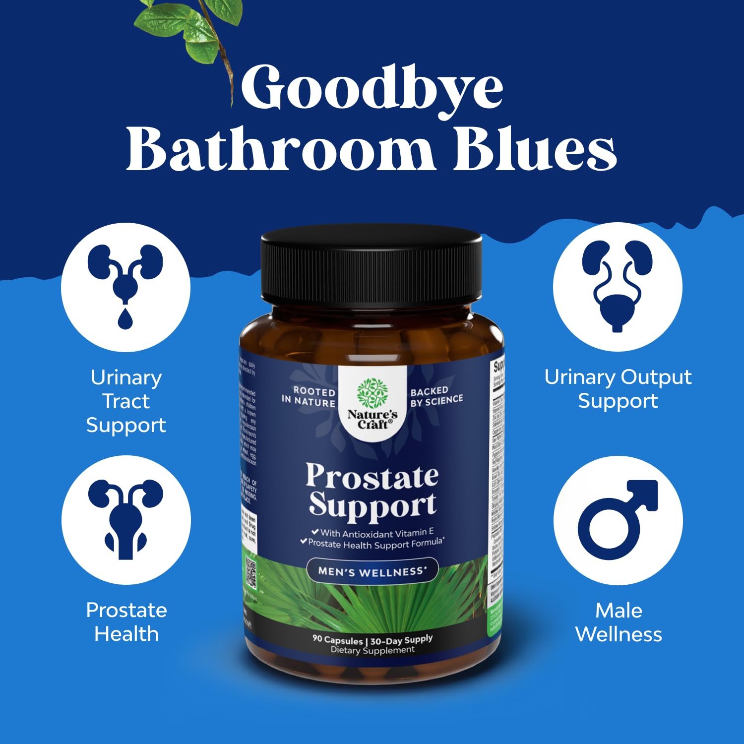 Herbal prostate health product with plant sterols and pumpkin seed extract