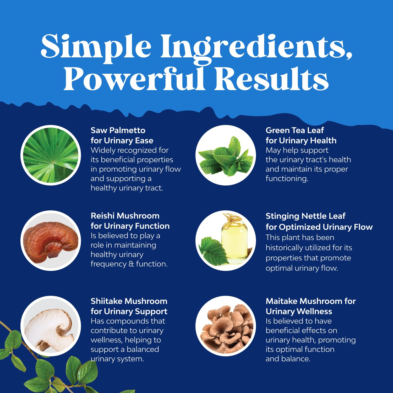 Bladder support and urinary tract health focus of the supplement