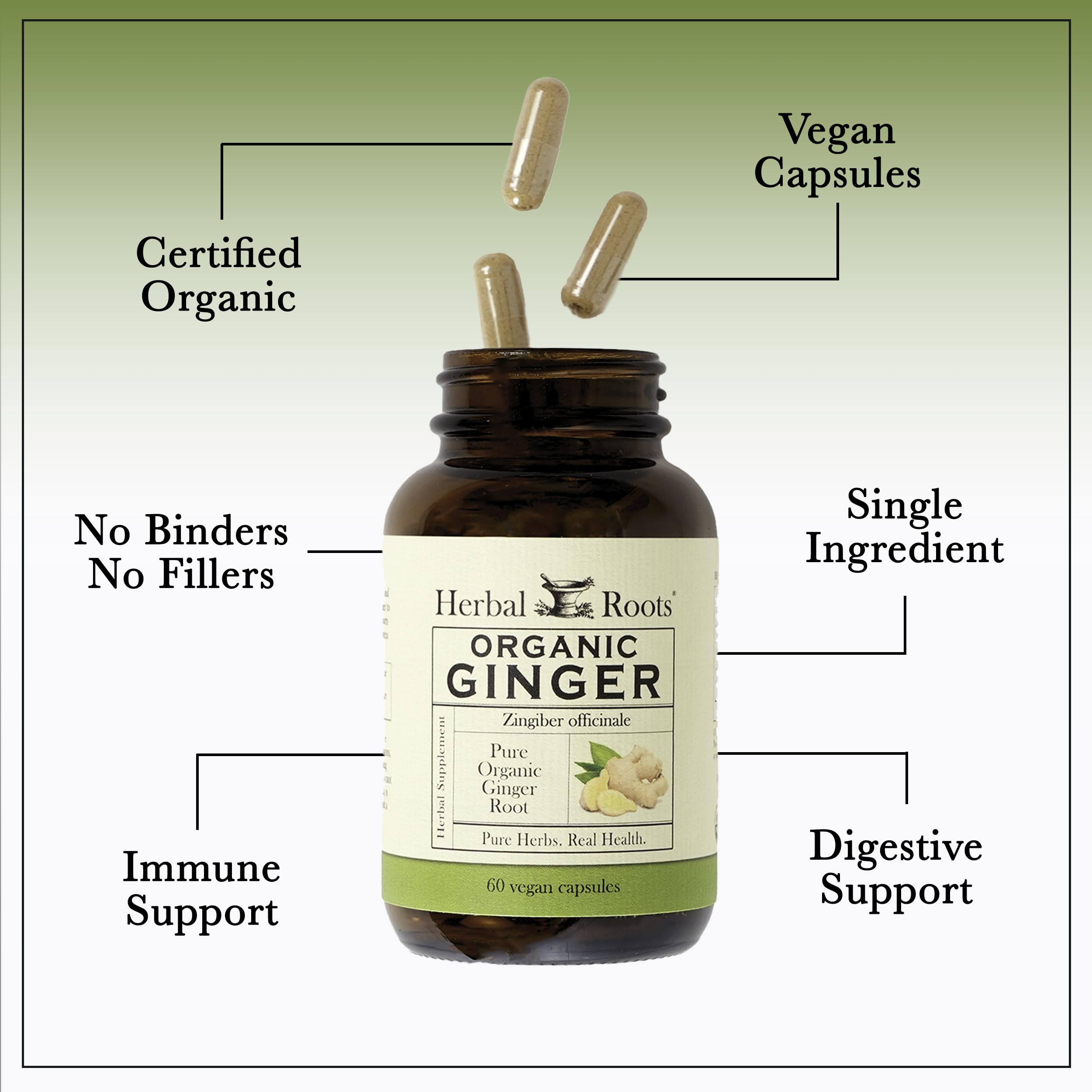 Nutrition and ingredients label on Ginger Supplement bottle