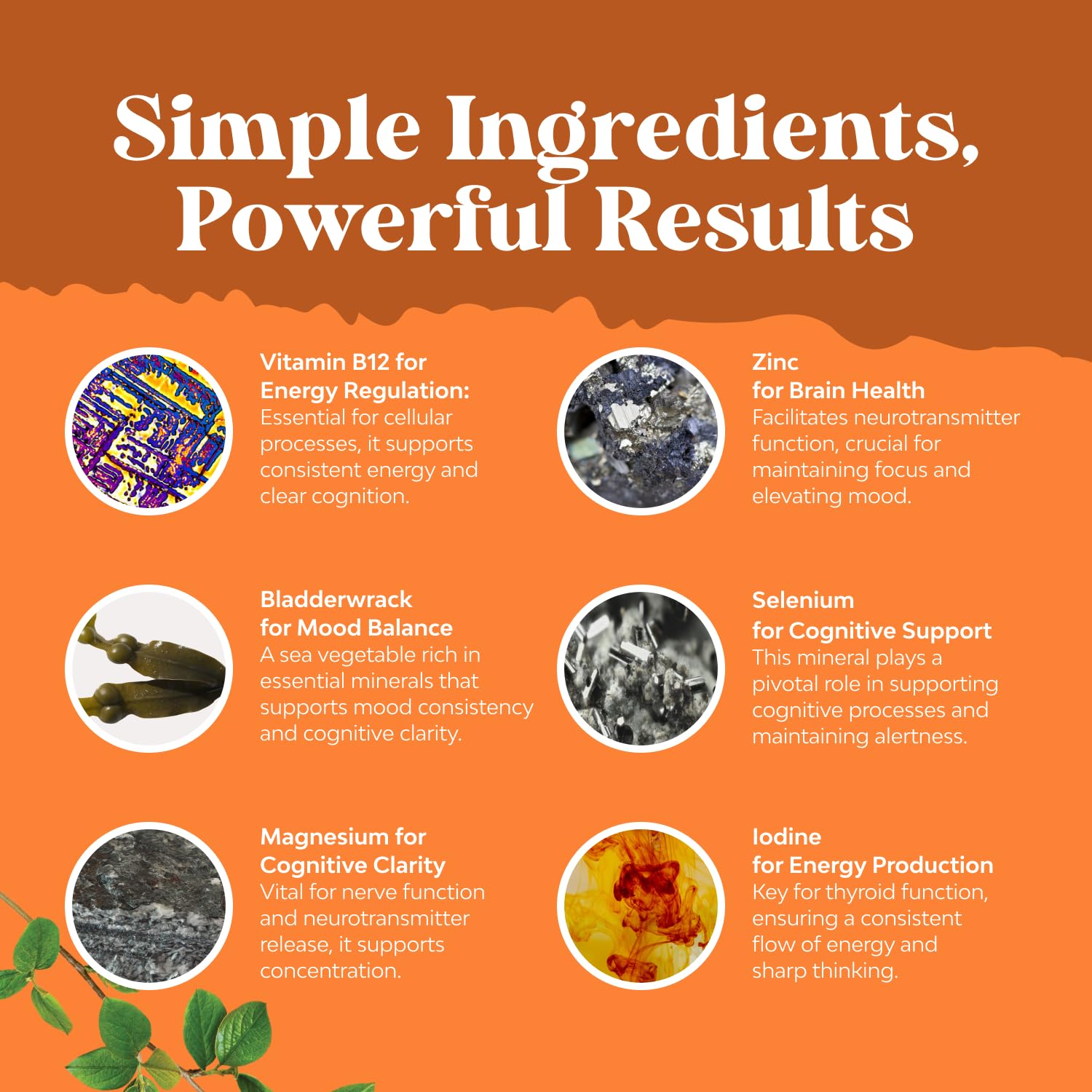 Ashwagandha roots and powder imagery