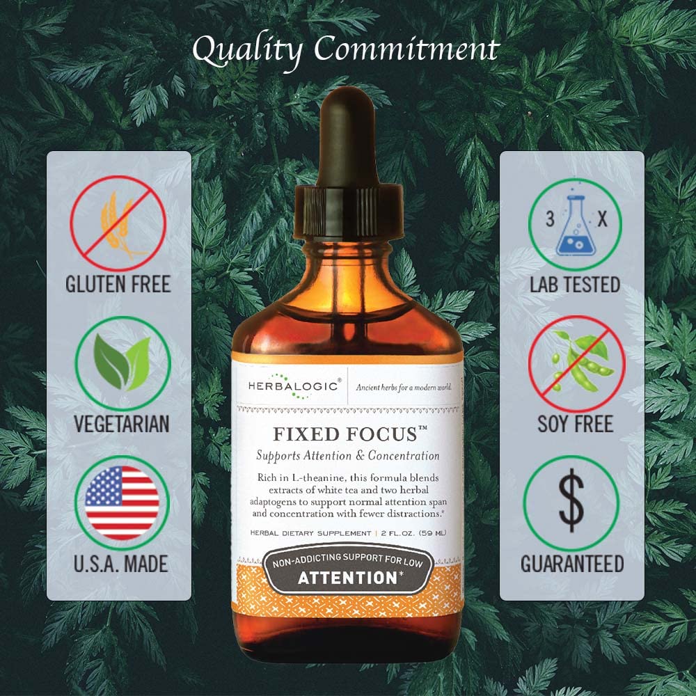 Eleuthero and Gynostemma herbs representing adaptogens