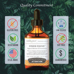 Eleuthero and Gynostemma herbs representing adaptogens