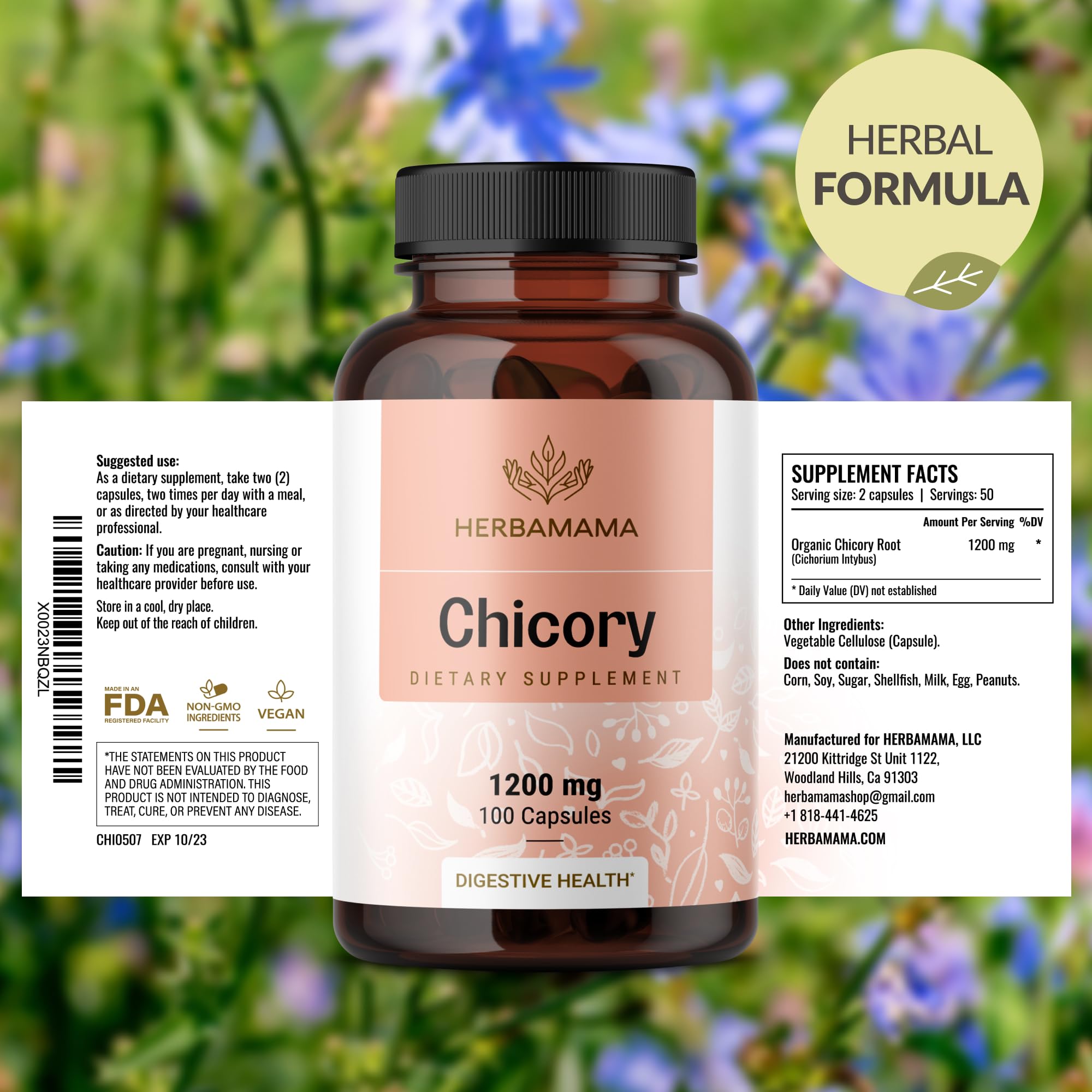 Chicory root powder ingredient visual