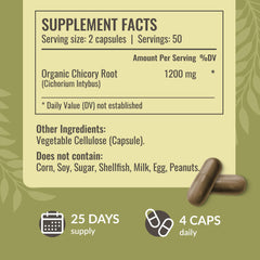 Chicory root powder inulin illustration