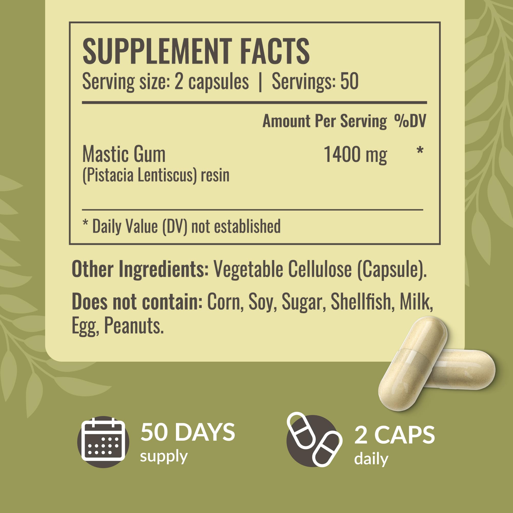 Mastic gum powder and vegetable cellulose capsule ingredients