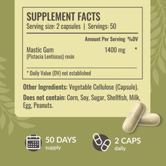 Mastic gum powder and vegetable cellulose capsule ingredients