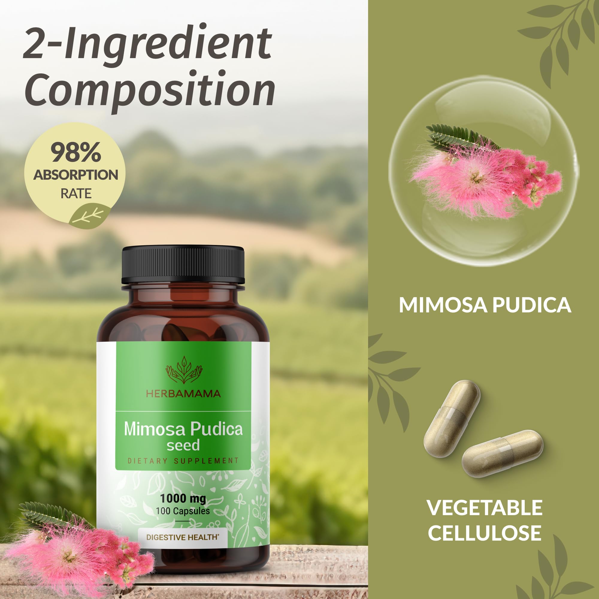 HERBAMAMA Mimosa Pudica capsules ingredients label highlights plant-based, non-GMO formula.