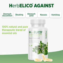 Healthy stomach concept with herbs used in HerbELICO
