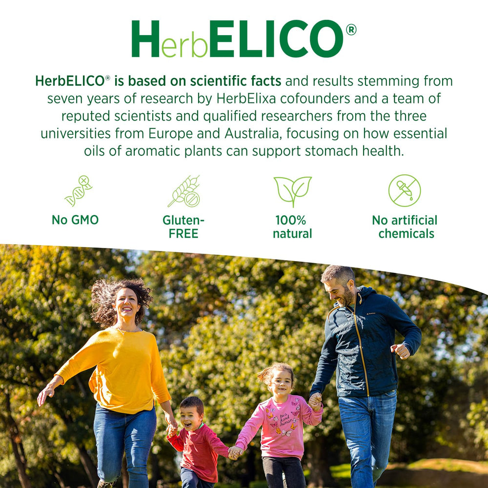 Diagram showing digestive health support from HerbELICO