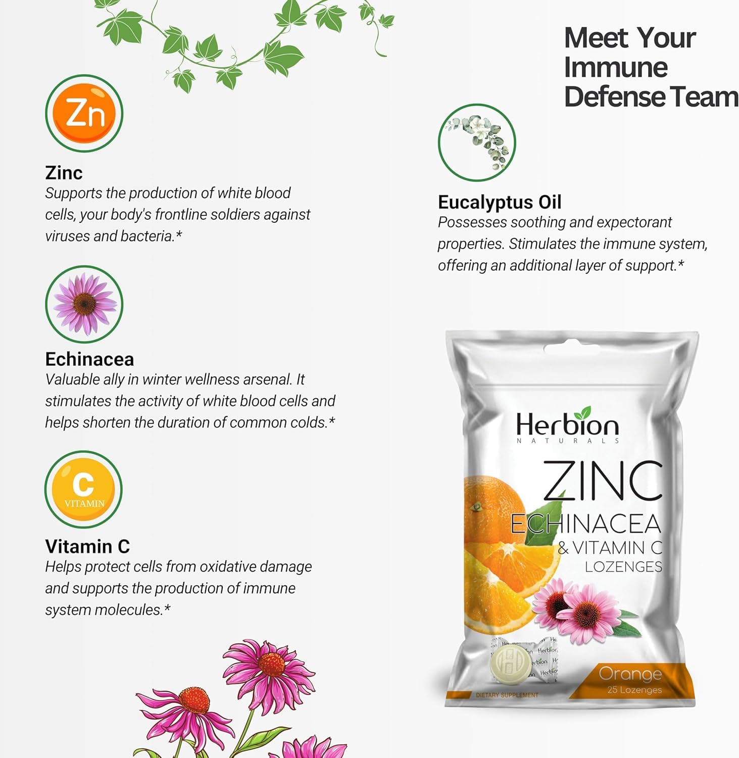 Illustration of Zinc, Echinacea and Vitamin C lozenges