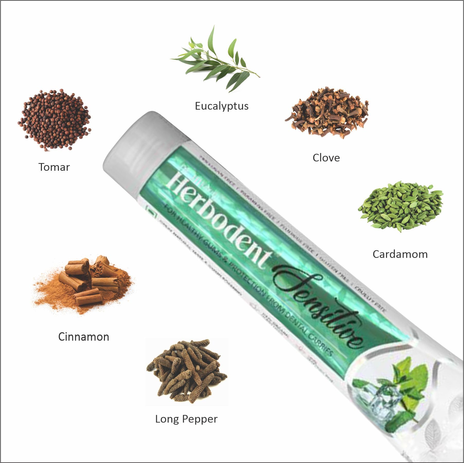 Natural ingredients concept with Clove and Tomar illustrations