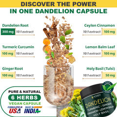 Close-up of Dandelion Root Supplement 7500mg ingredients