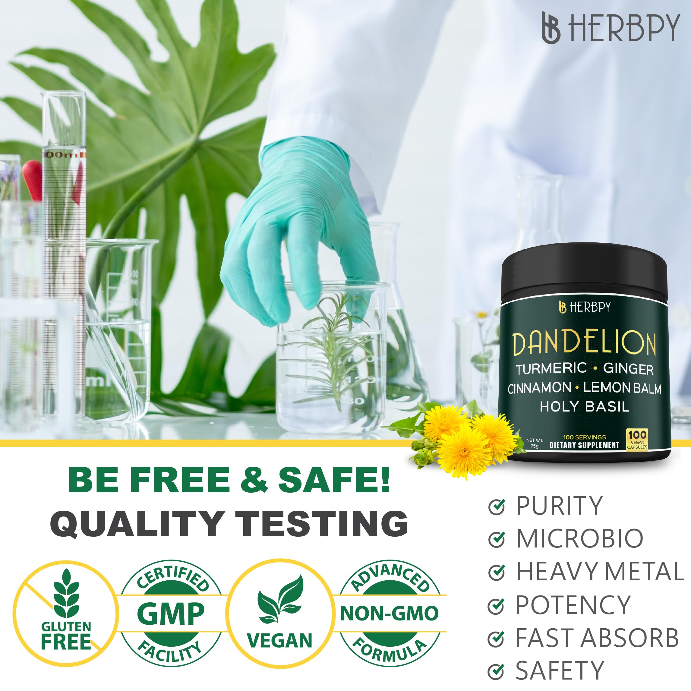 Illustration showing digestive and heart health support