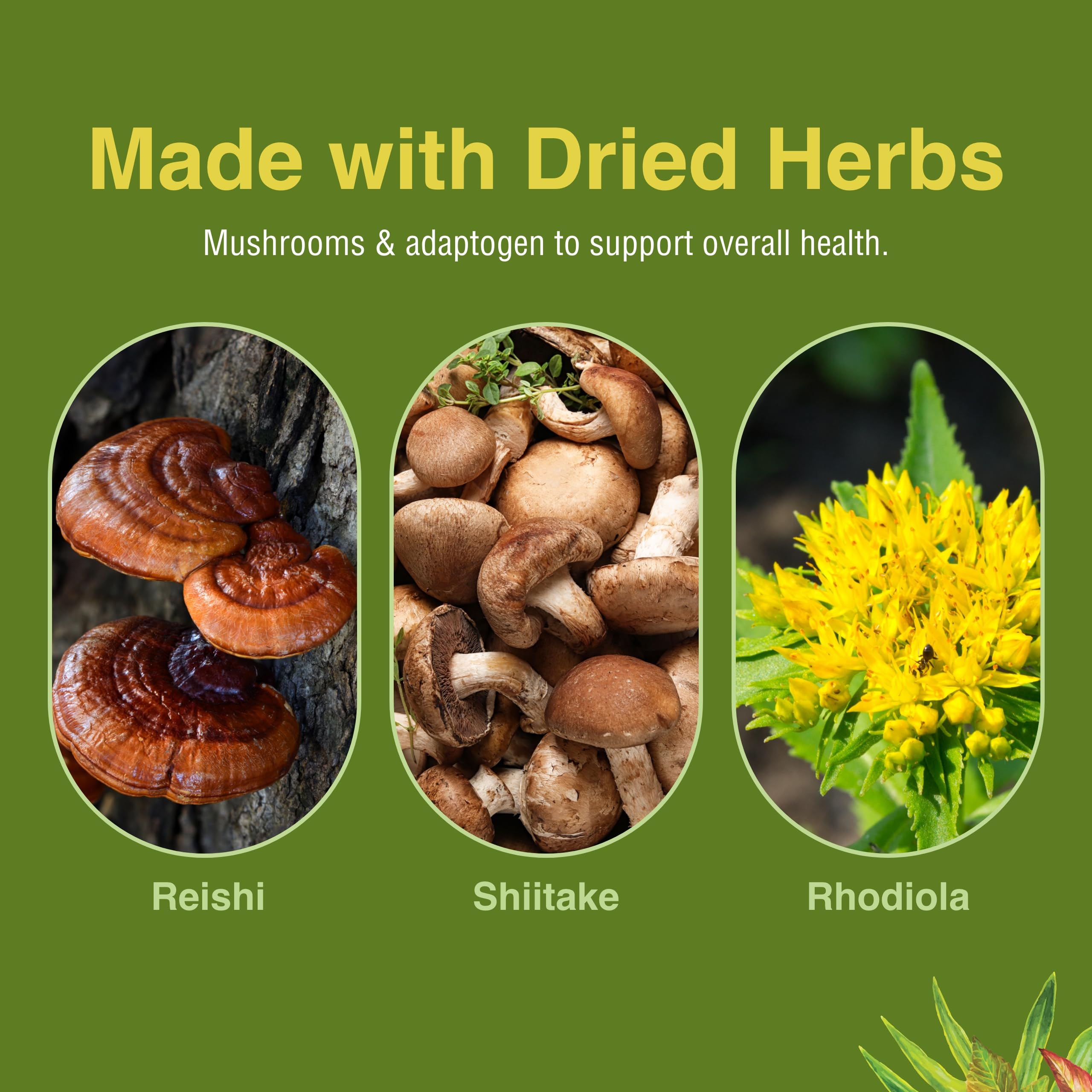 Gluten-free and artificial additives-free icon