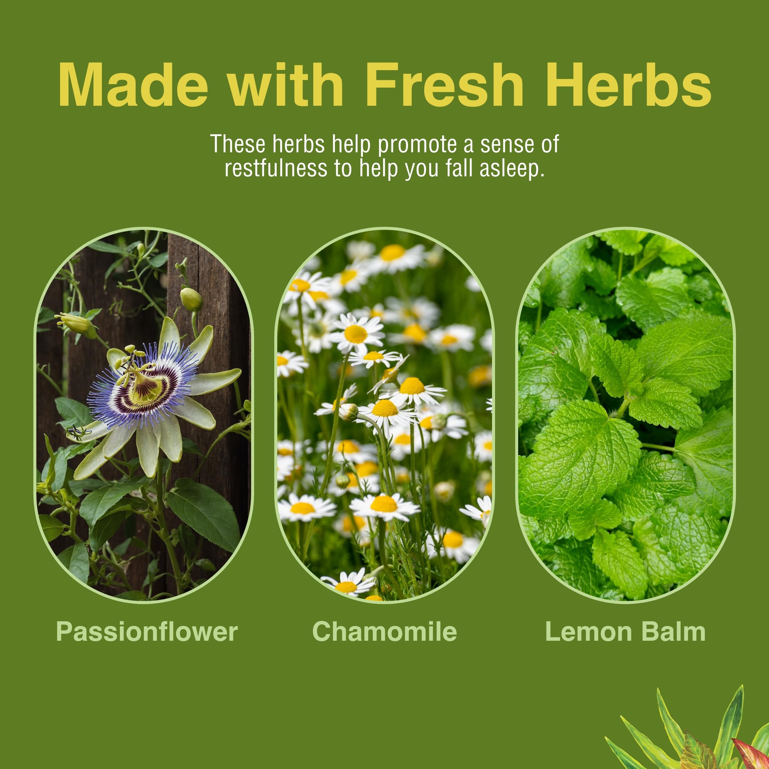 Passionflower plant used in HERBS ETC. Deep Sleep