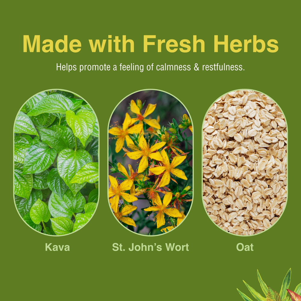 Herbs Etc. brand statement and herbal formulation concept