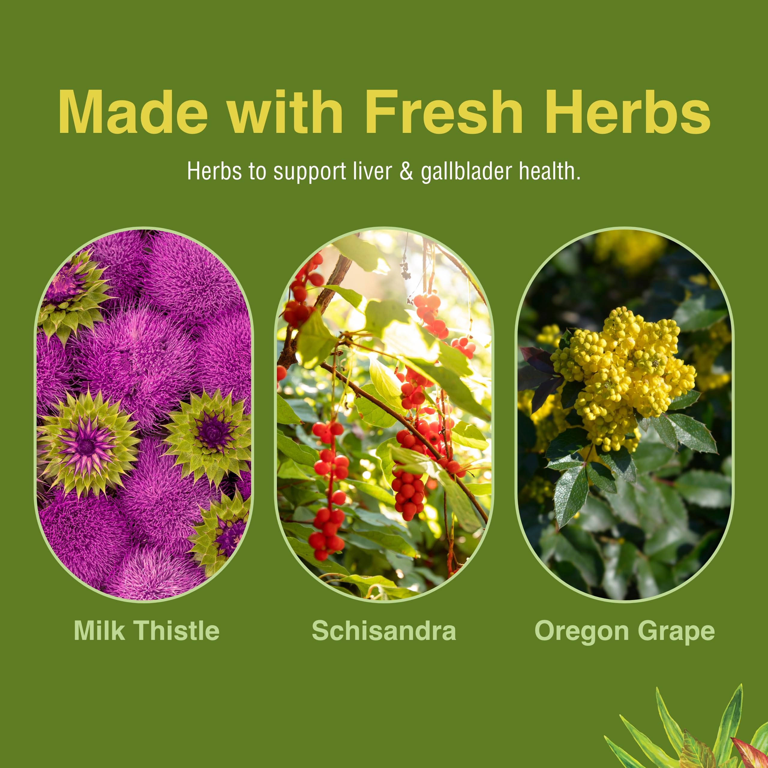 Softgel capsules arranged for lifestyle shot