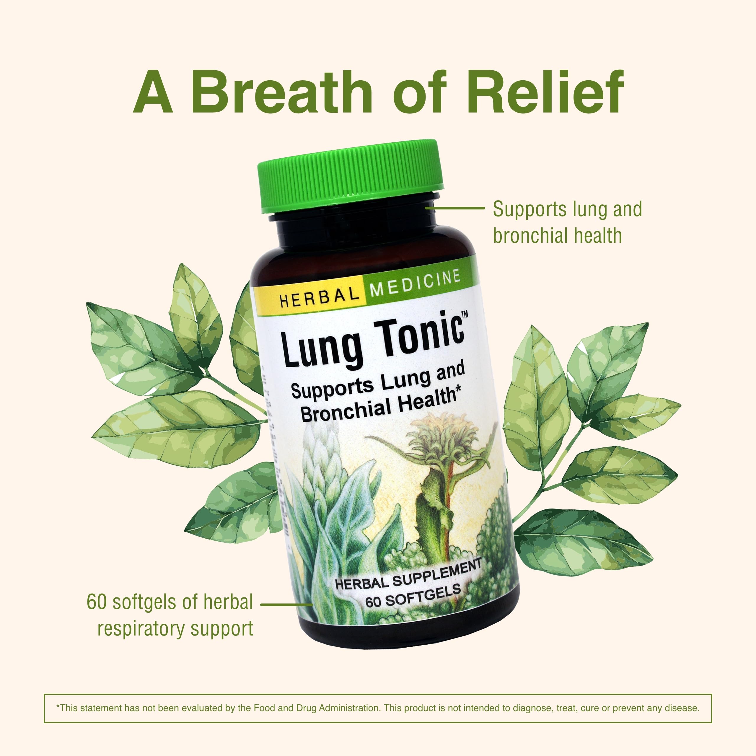 Herbs Etc. Lung Tonic packaging and branding