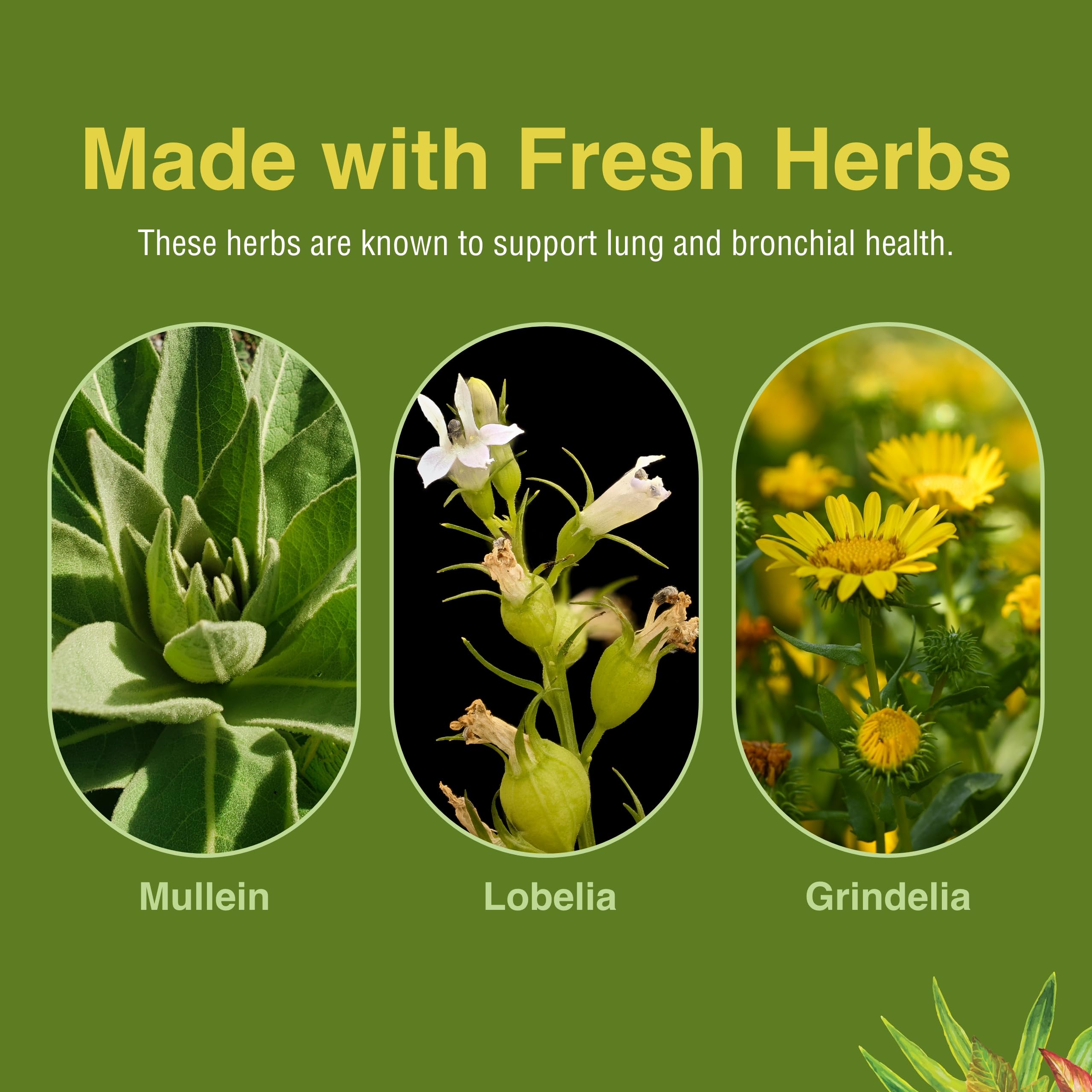 Label of Herbs Etc. Lung Tonic with dosage information