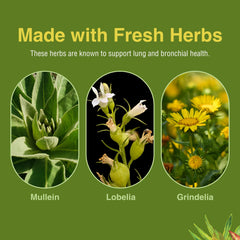 Label of Herbs Etc. Lung Tonic with dosage information