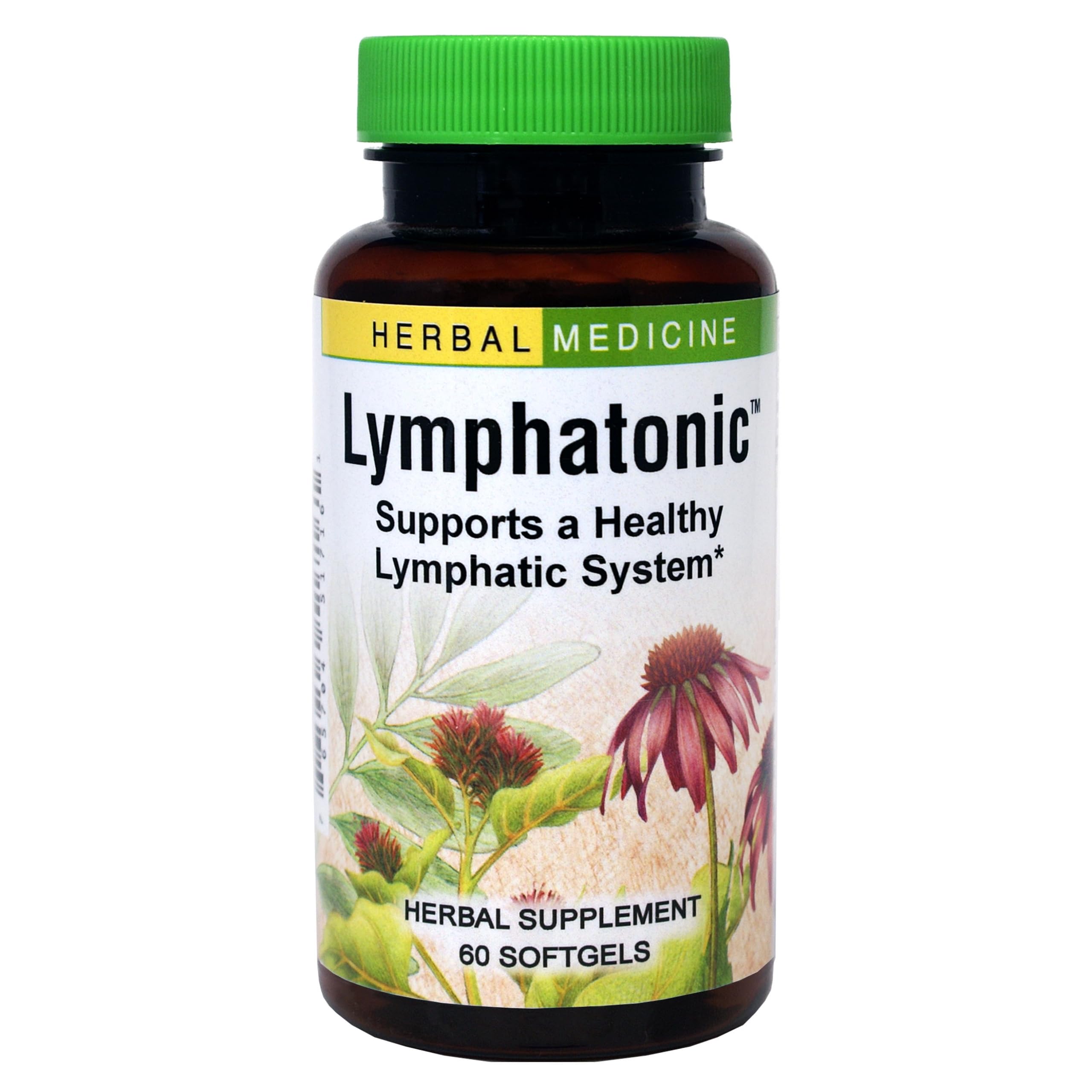 Herbs ETC Lymphatonic SG bottle front