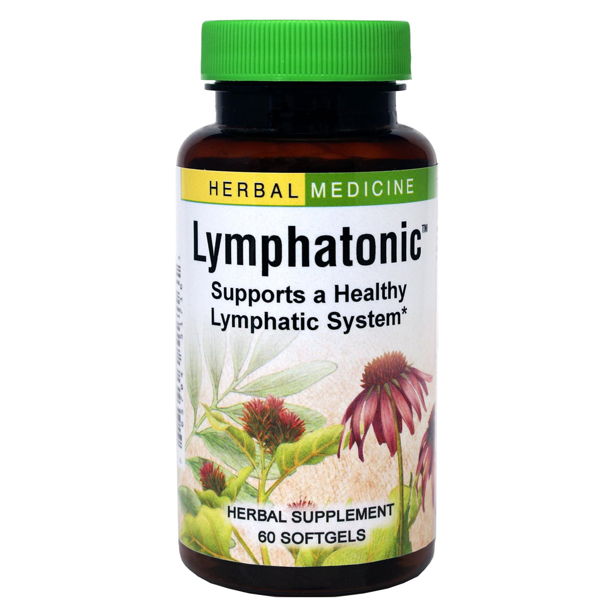 Herbs ETC Lymphatonic SG bottle front