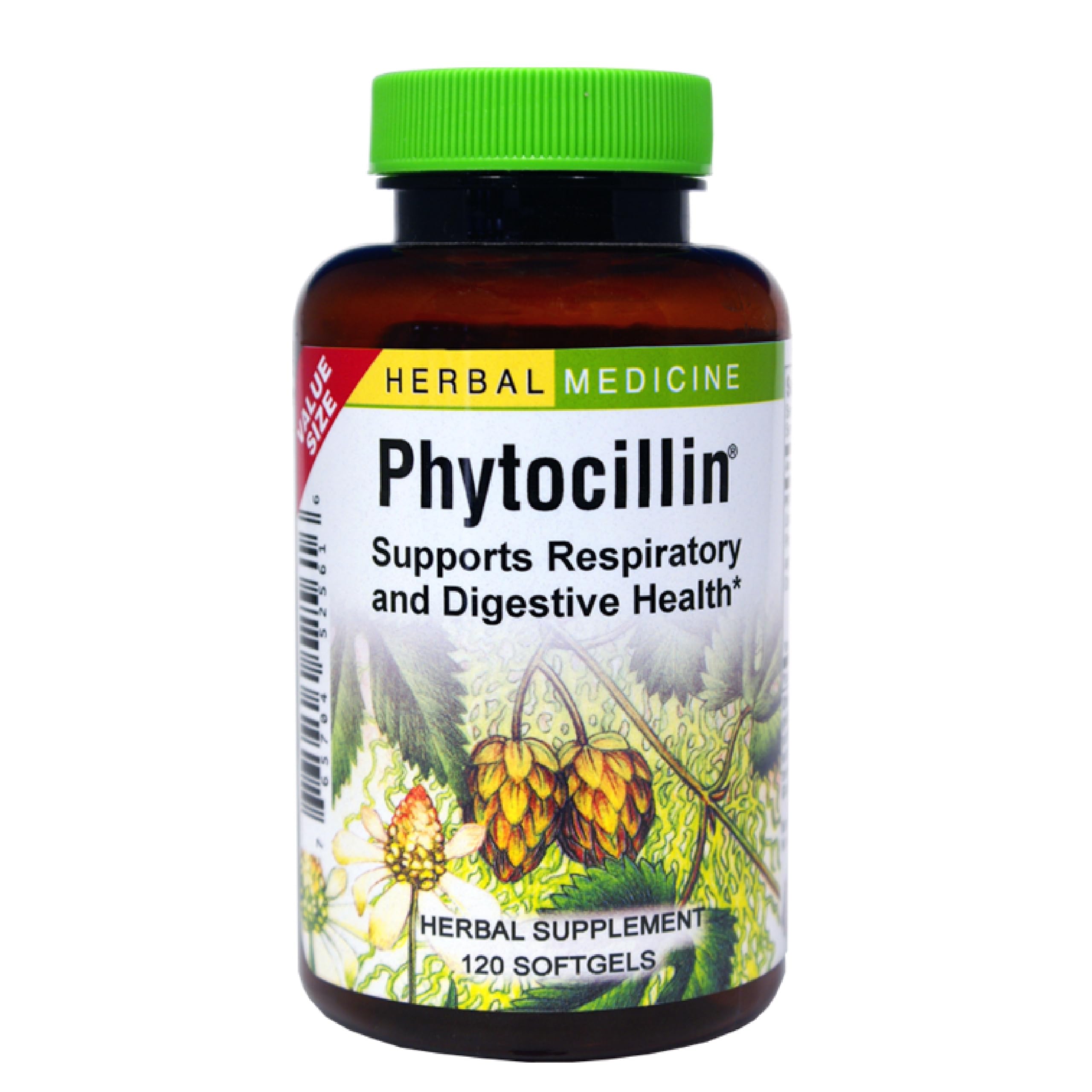 Packshot of Herbs Etc. Phytocillin bottle