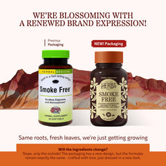 Close-up of Smoke Free softgels bottle