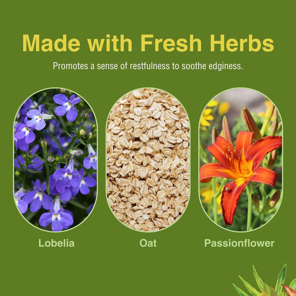 Ingredients list highlight: lobelia, oat, passionflower