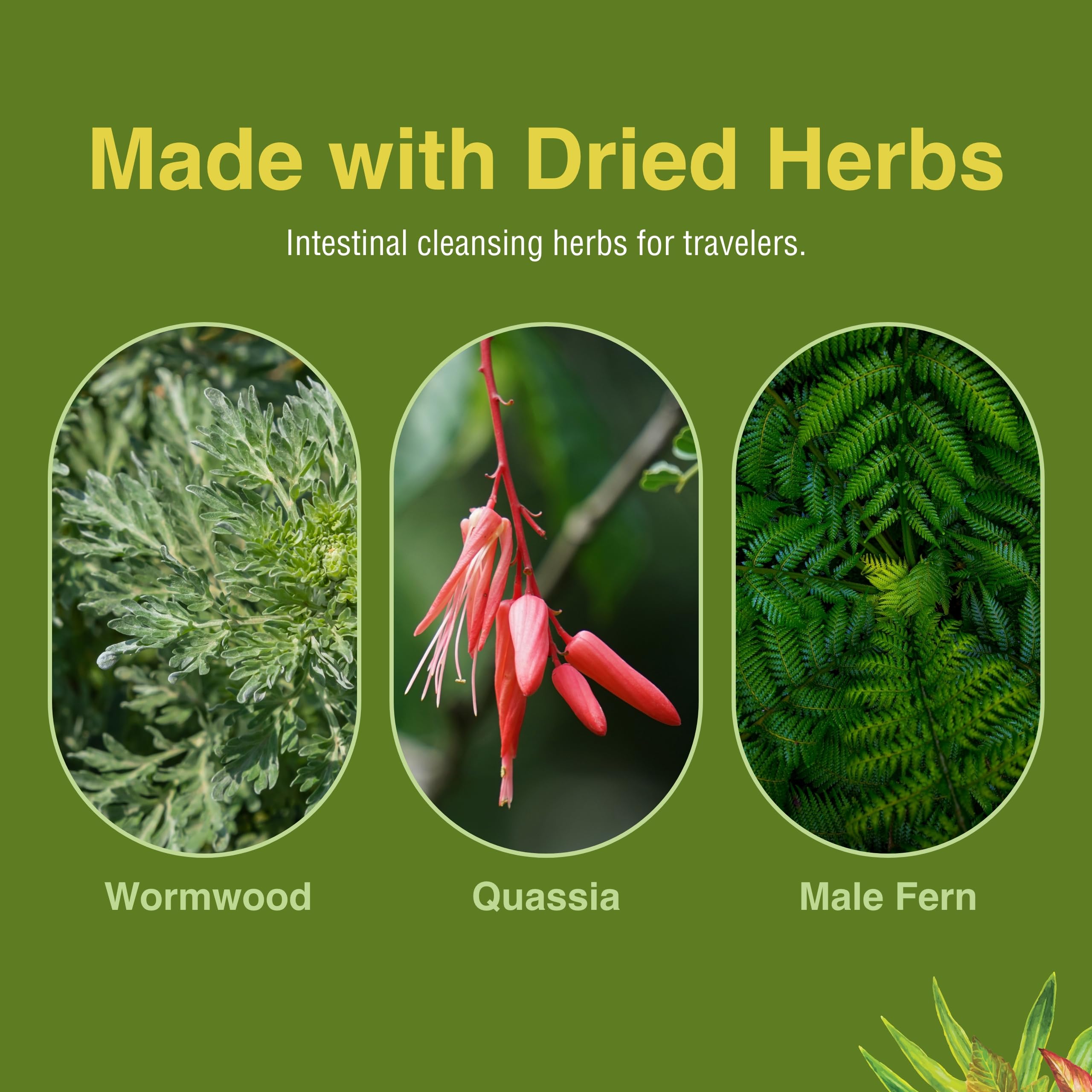 Natural herbs for gastrointestinal support